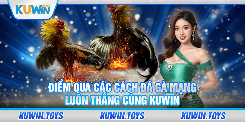 Điểm qua các cách đá gà mạng luôn thắng cùng KUWIN