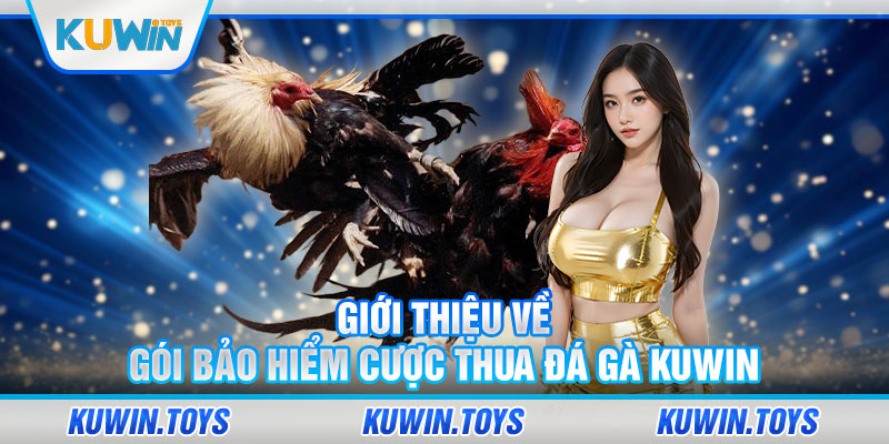 Giới thiệu về gói bảo hiểm cược thua đá gà KUWIN