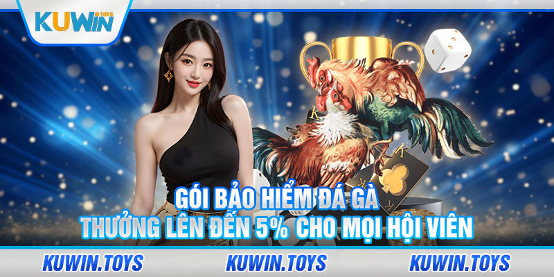 Bảo Hiểm Thua Đá Gà Thưởng Lên Đến 5%