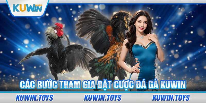 Các bước tham gia đặt cược đá gà KUWIN