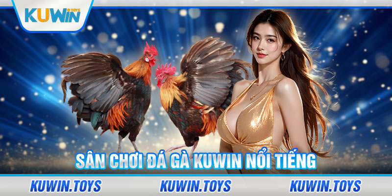 Sân chơi đá gà KUWIN nổi tiếng