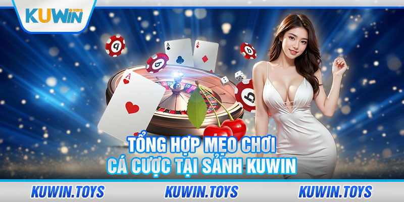 Tổng hợp mẹo chơi cá cược tại sảnh KUWIN